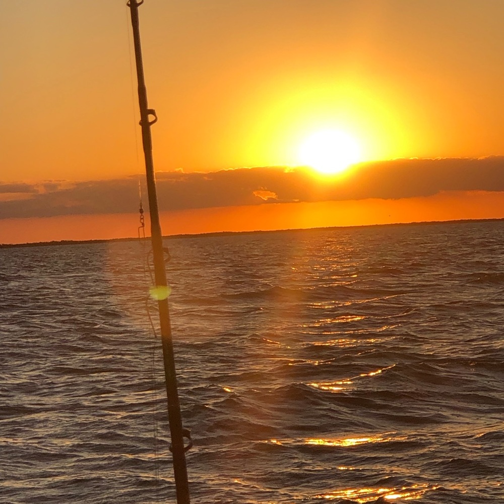 Meet your Posher, Ivonne